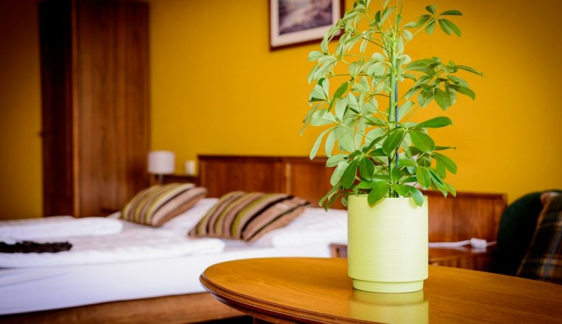 Penzion Pod Kašnou Frýdek-Místek