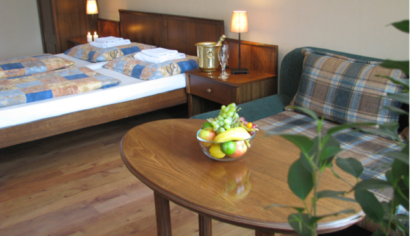 Penzion Pod Kašnou Frýdek-Místek - Dvojlůžkový s přistýlkou, Apartmán, Dvojlůžkový