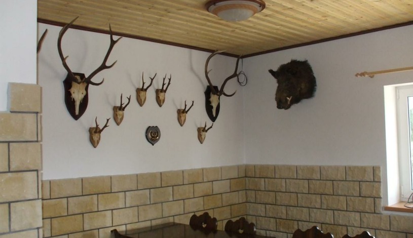 Penzion Pohoda Jetřichovice