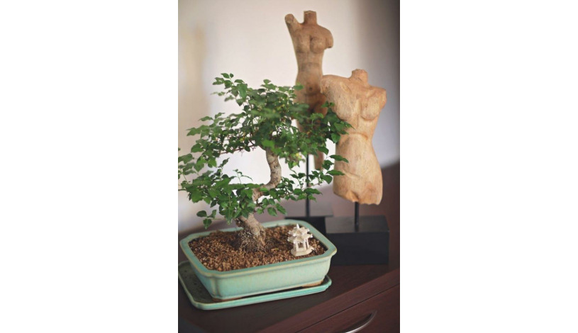 Penzion Sokolská Zlín