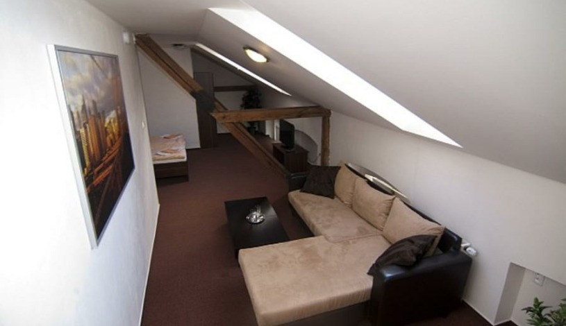 Penzion Stará pošta Frýdek-Místek - Jednolůžkový