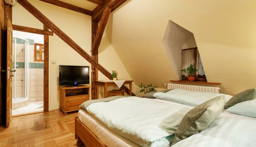 Penzion U Křivého psa Frýdek-Místek - Jednolůžkový pokoj se sprchou, Dvoulůžkový pokoj se sprchou