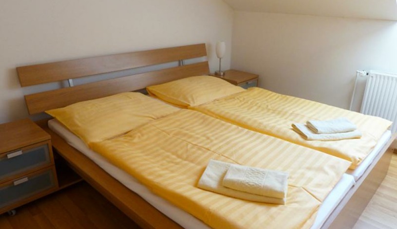 VILLA SLOVENSKÁ Zlín - Apartmán