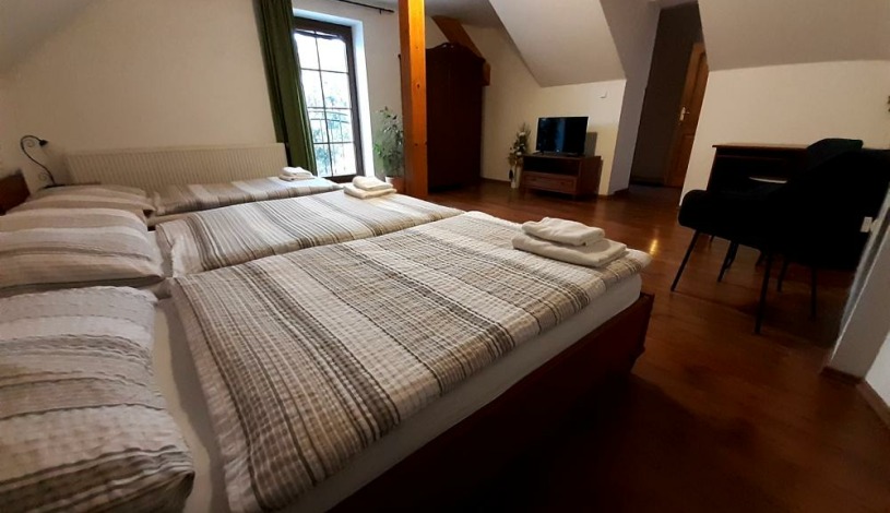 Penzion V Podzámčí *** Litomyšl