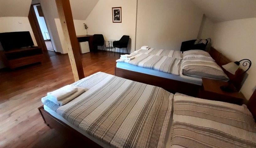 Penzion V Podzámčí *** Litomyšl