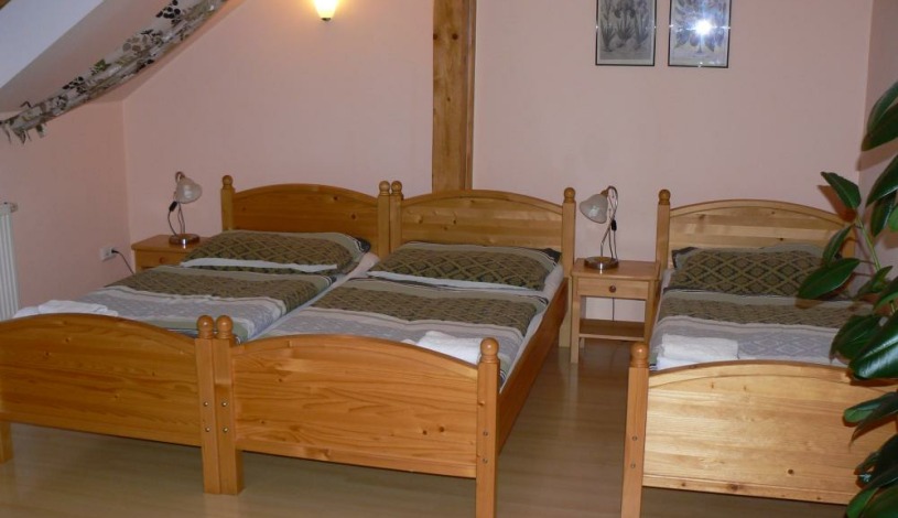 Penzion V Podzámčí *** Litomyšl