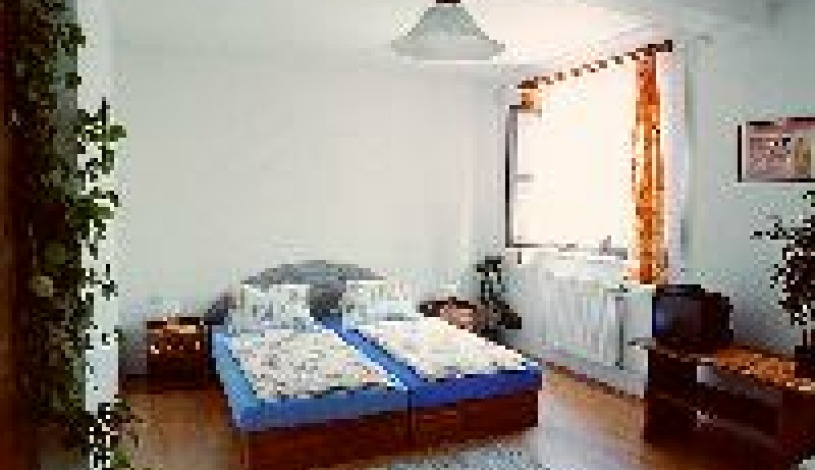 Penzion ZELENÝ STROM Mikulov