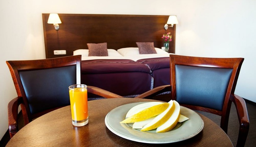 Hotel FARMA Pelhřimov - Dvoulůžkový pokoj