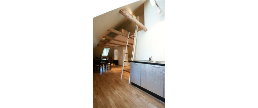 Apartment Pikk Tallinn - Apt 18132