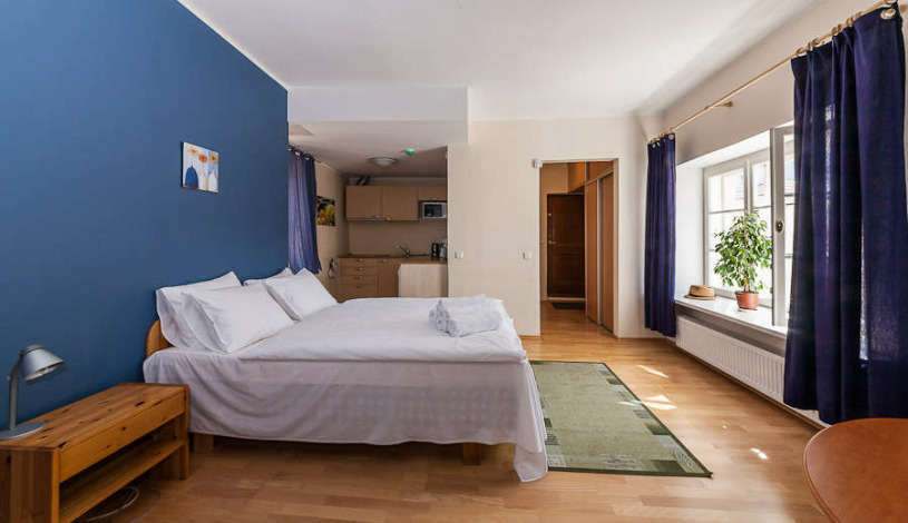 Apartment Pikk Tallinn
