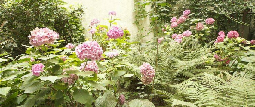 Apartment Pilgramgasse Wien - Apt 35908