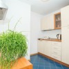 1-spálňový Apartmán Vilnius Senamiestis s kuchyňou pre 4 osoby