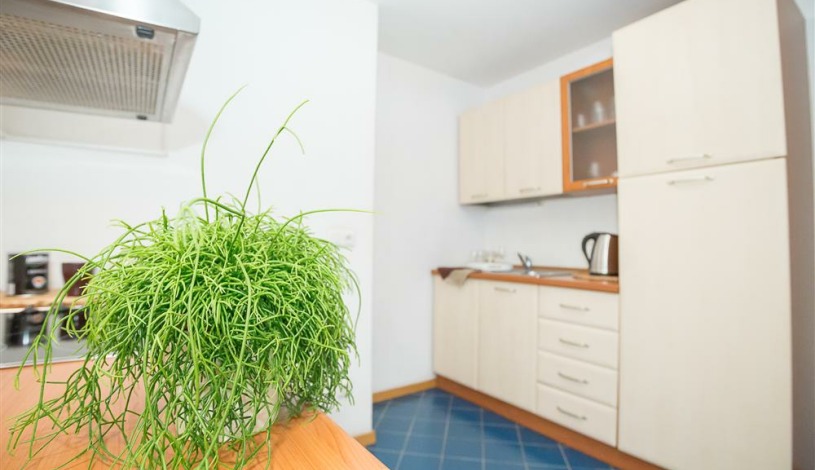 Apartment Pilies gatvė Vilnius - Apt 34701