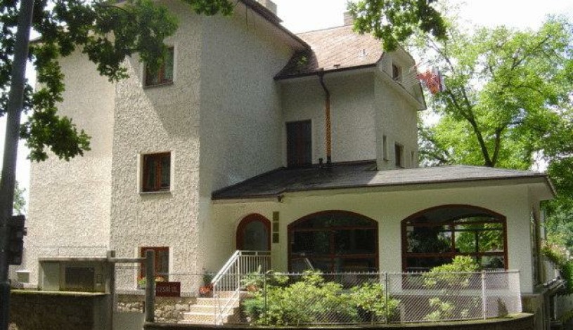 Hotel VILLA CONTI Písek