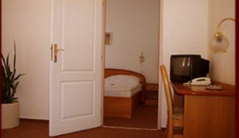 CENTRAL-WELLNESS HOTEL Klatovy