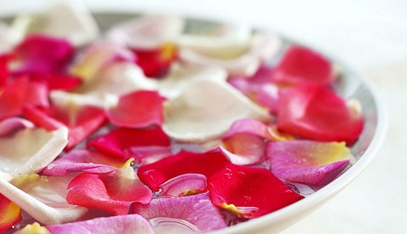 CENTRAL-WELLNESS HOTEL Klatovy