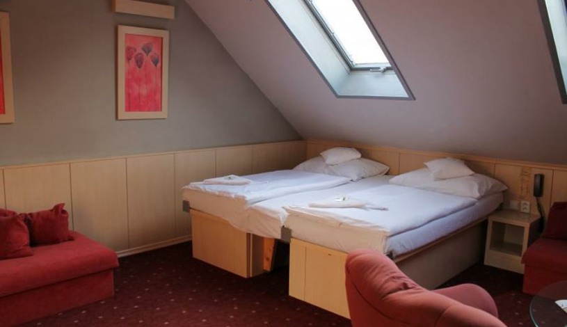 Hotel Plzeň Plzeň - Pětilůžkový Standard