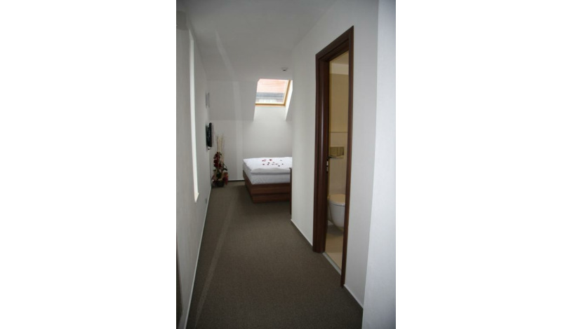 Art Hotel**** Poděbrady