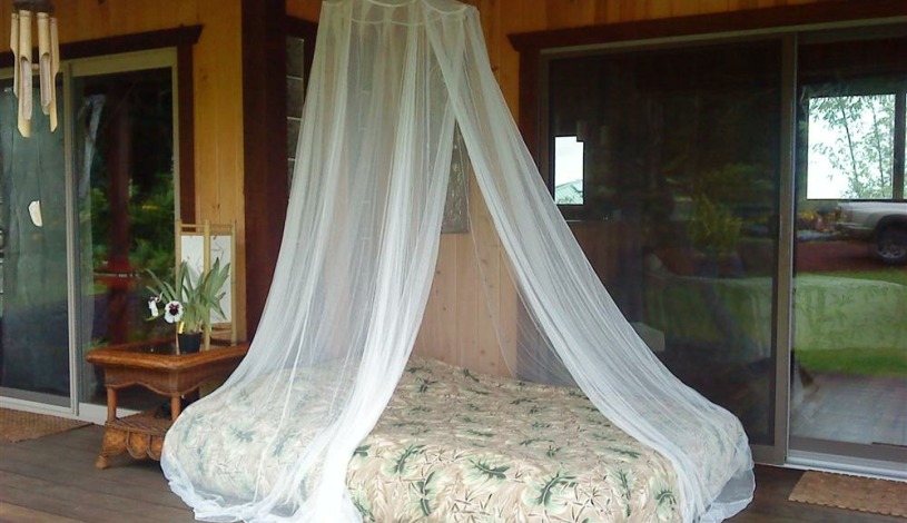 Apartment Pohoiki Hawaii - Apt 19573