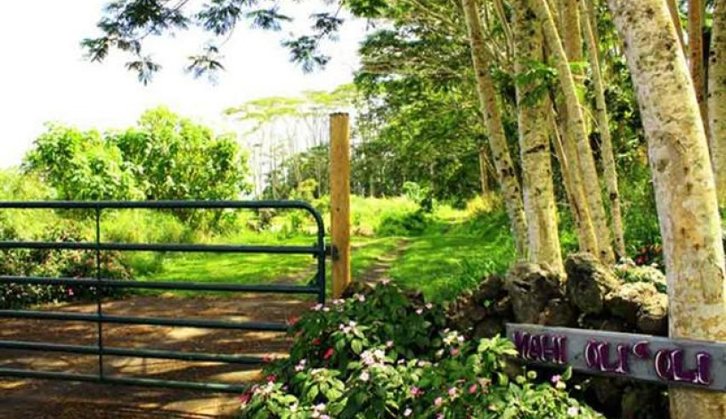 Apartment Pohoiki Hawaii - Apt 19573