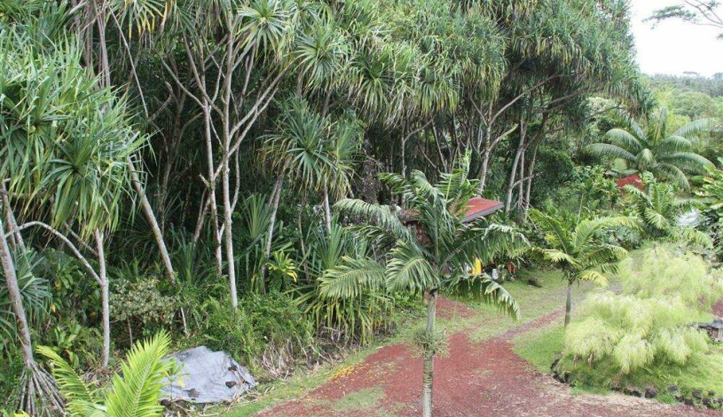 Apartment Pohoiki Hawaii - Apt 19573