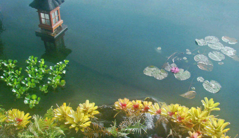 Apartment Pohoiki Hawaii - Apt 19573