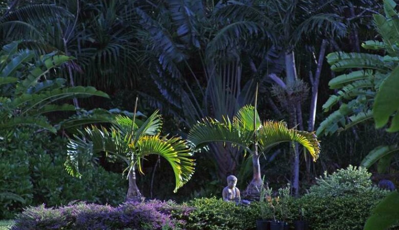 Apartment Pohoiki Hawaii - Apt 19573