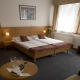 Pokoj pro 2 osoby - EA HOTEL POPULUS Praha