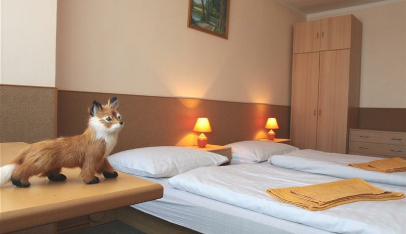 Pension FOX Praha - DBL + EXB, Pokoj pro 3 osoby
