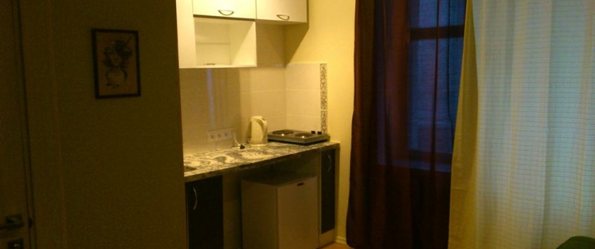 Apartment Predslavynska Kiev - Apt 23739