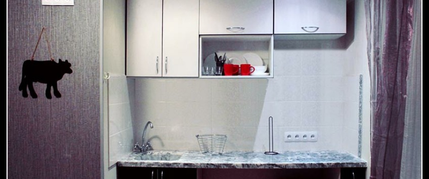 Apartment Predslavynska Kiev - Apt 27393