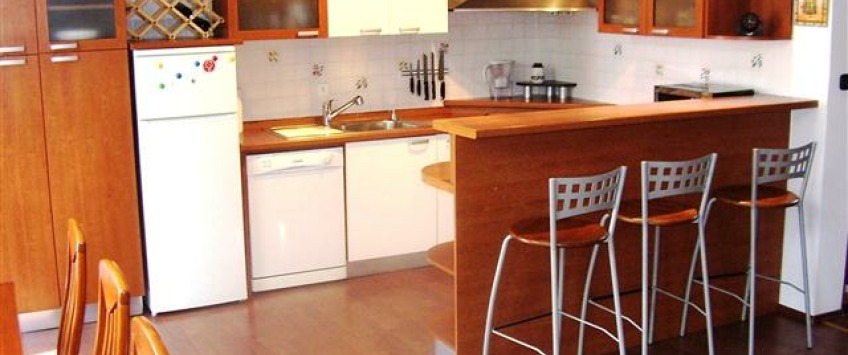 Apartment Prilaz Gjure Deželića Zagreb - Apt 21739