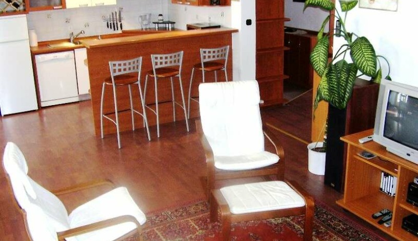 Apartment Prilaz Gjure Deželića Zagreb - Apt 21739