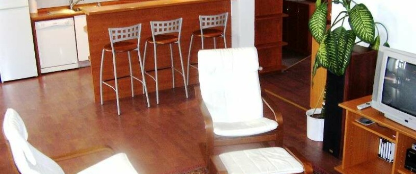 Apartment Prilaz Gjure Deželića Zagreb - Apt 21739