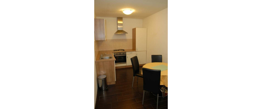 Apartment Prilaz Gjure Deželića Zagreb - Apt 25246