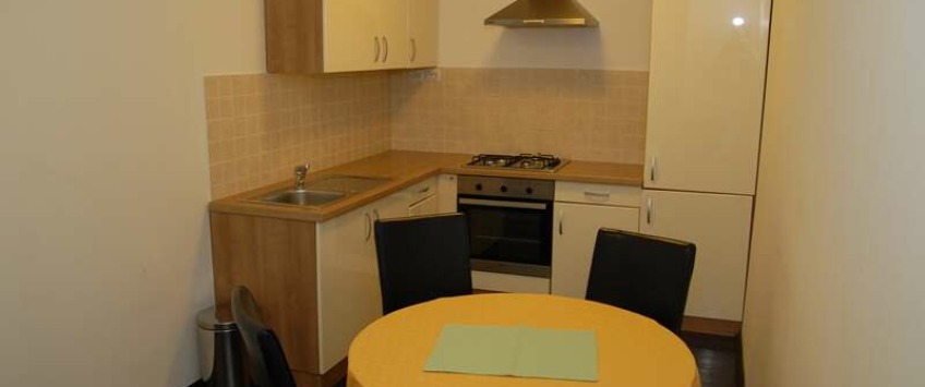 Apartment Prilaz Gjure Deželića Zagreb - Apt 25246