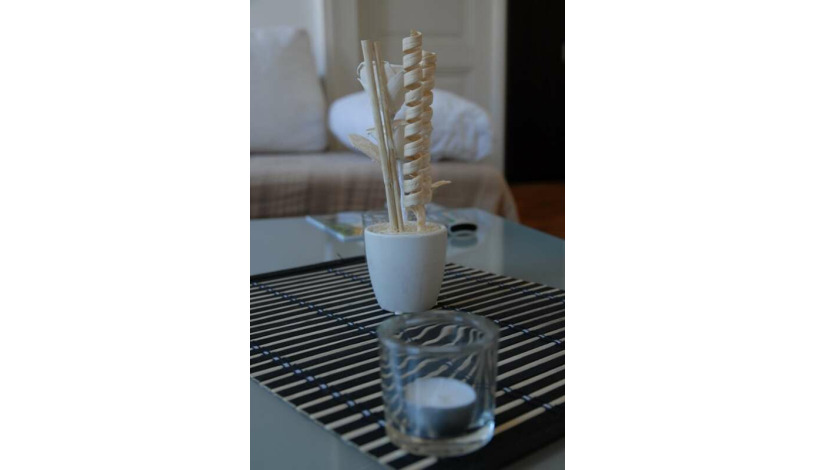 Apartment Prilaz Gjure Deželića Zagreb - Apt 25247