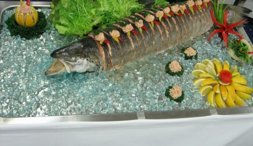 PRIMAVERA Hotel & Congress centre****  Plzeň