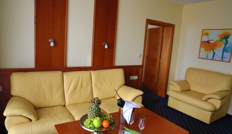 PRIMAVERA Hotel & Congress centre****  Plzeň