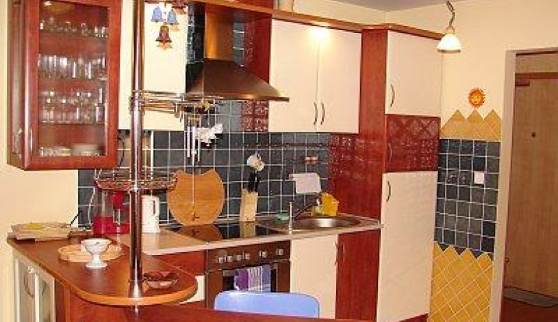 Apartment Przewodnika Józefa Krzeptowskiego Zakopane - Apt 18017