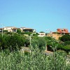 1-bedroom Sardinia Stintino with kitchen for 4 persons