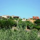 Apt 35356 - Apartment Punta de su Torrione Sardinia