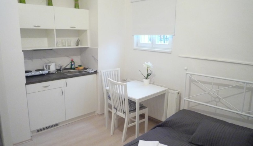 Pensjonat Apartamenty Pushkin Praha - Apt. č. 19