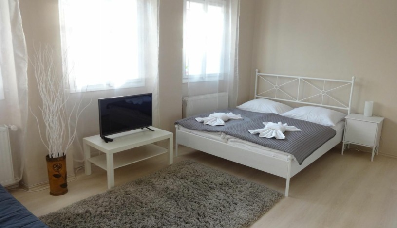 Pensjonat Apartamenty Pushkin Praha - Apt. č.10