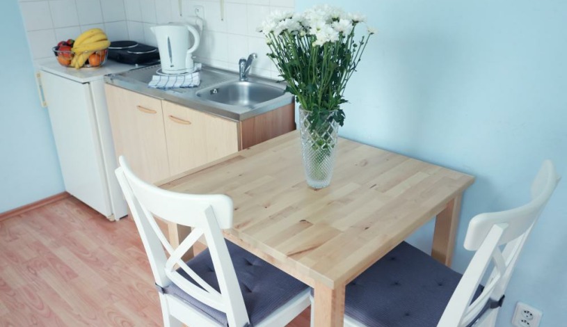 Pensjonat Apartamenty Pushkin Praha - Apt. č.14