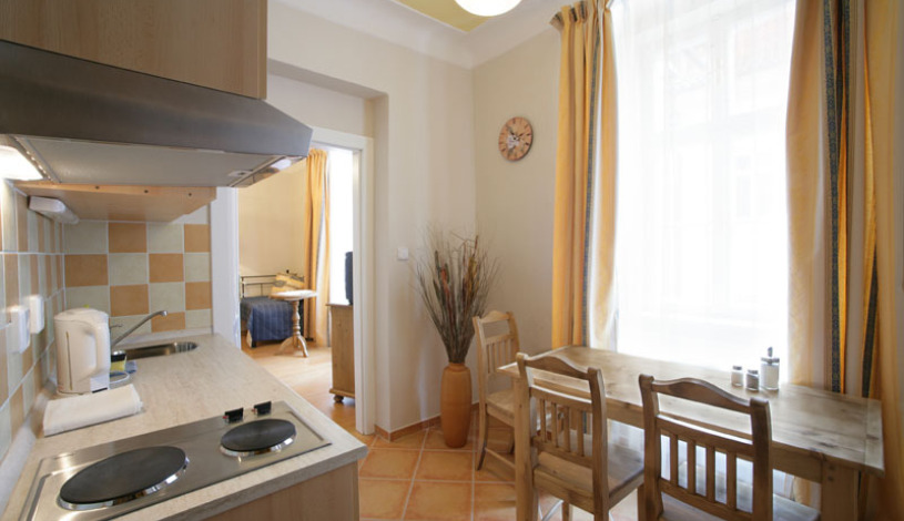 Pensjonat Apartamenty Pushkin Praha - Apt. č.8