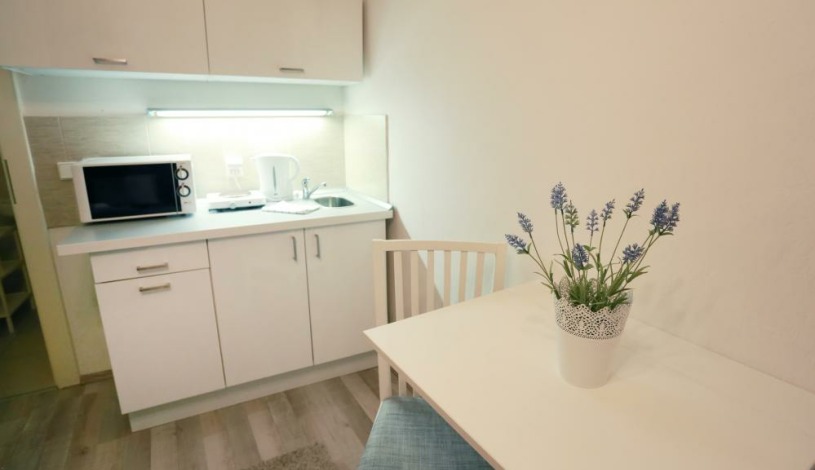 Pensjonat Apartamenty Pushkin Praha