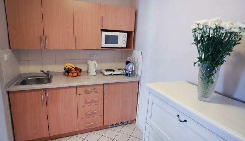 Pensjonat Apartamenty Pushkin Praha - Apt. č.17