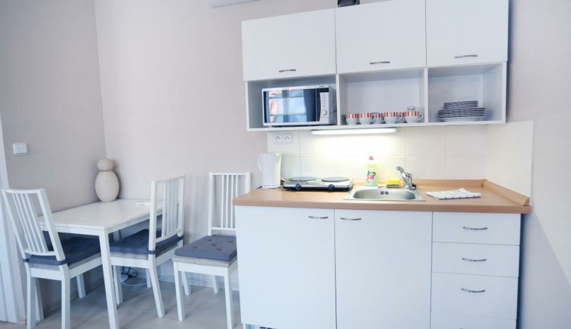 Pensjonat Apartamenty Pushkin Praha - Apt. č.10