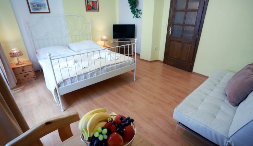 Pensjonat Apartamenty Pushkin Praha